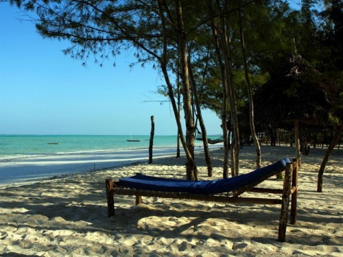 Ndame Beach Lodge image 35