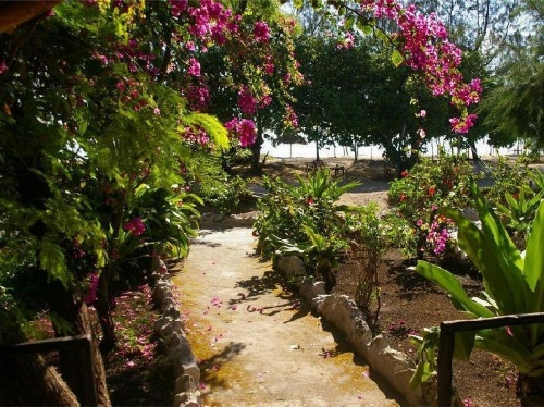 Ndame Beach Lodge image 36